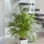 Stixiya Apartahotel