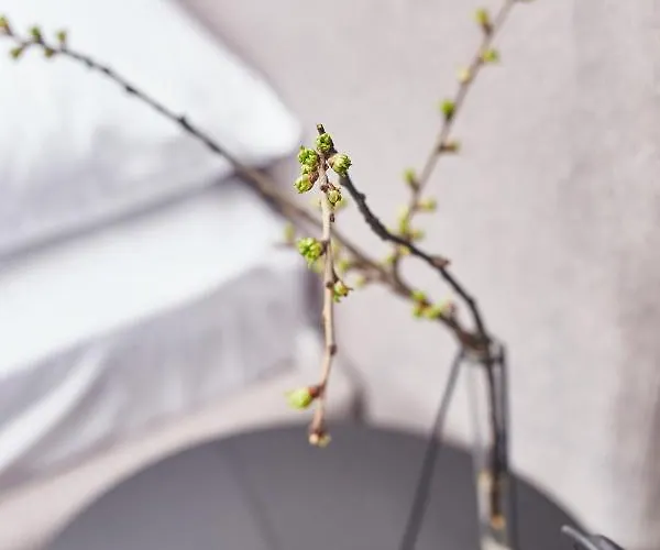 Stixiya Апарт-готель Одеса