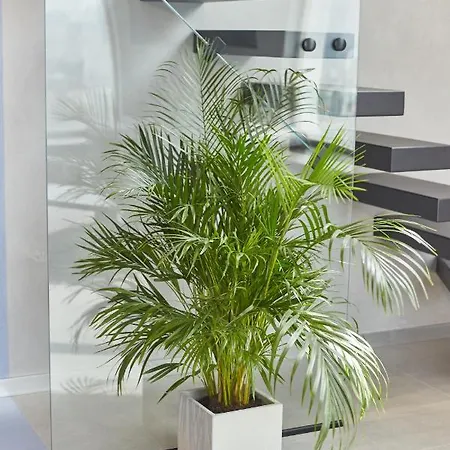 Stixiya Aparthotel
