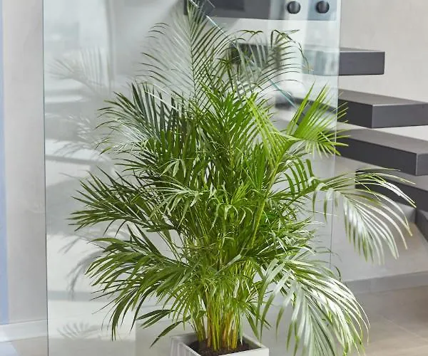 Stixiya Appart hôtel